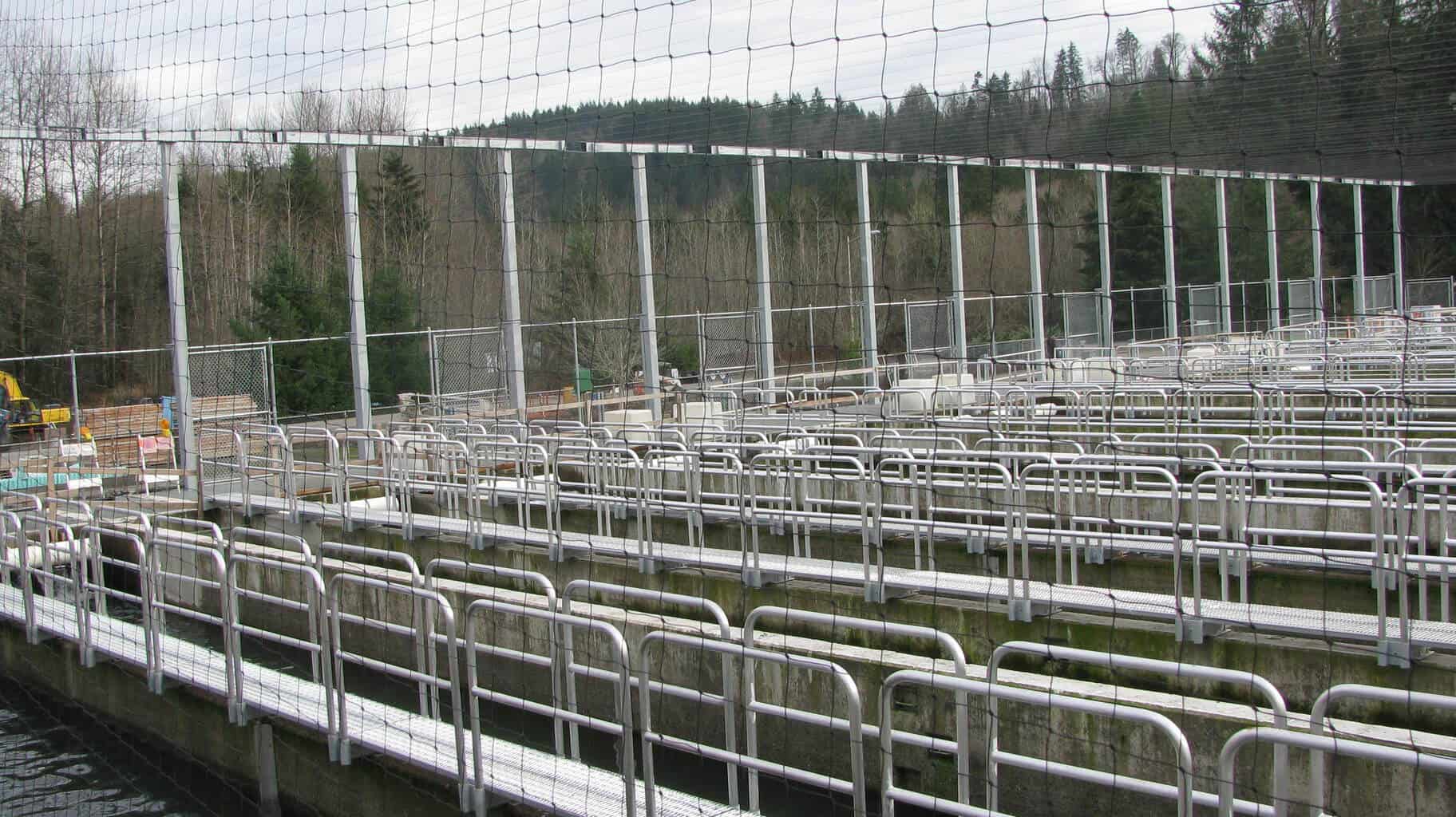 Aluminum handrails & galv steel walkways- Cowlitz Salmon Hatchery
